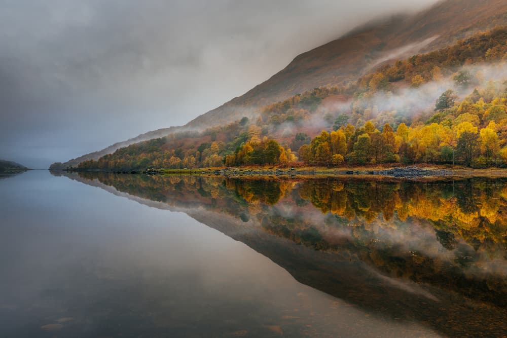 Misty Autumn Lake Reflection by Adrian Popan — canvas wall art