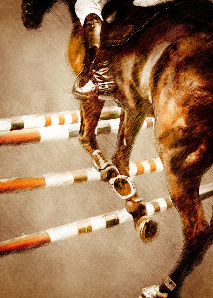 Dynamic Horse Jump by Justyna Jaszke — canvas wall art