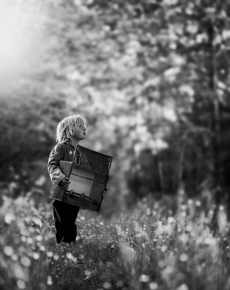 Child's Bee Box Wonder by Ewa Cwikla — canvas wall art