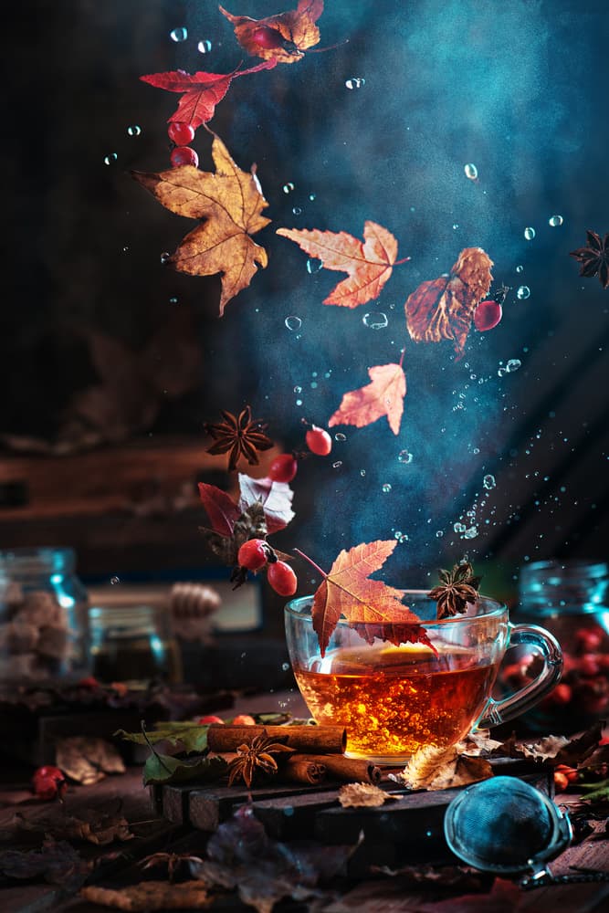 Magical Autumn Tea by Dina Belenko — canvas wall art
