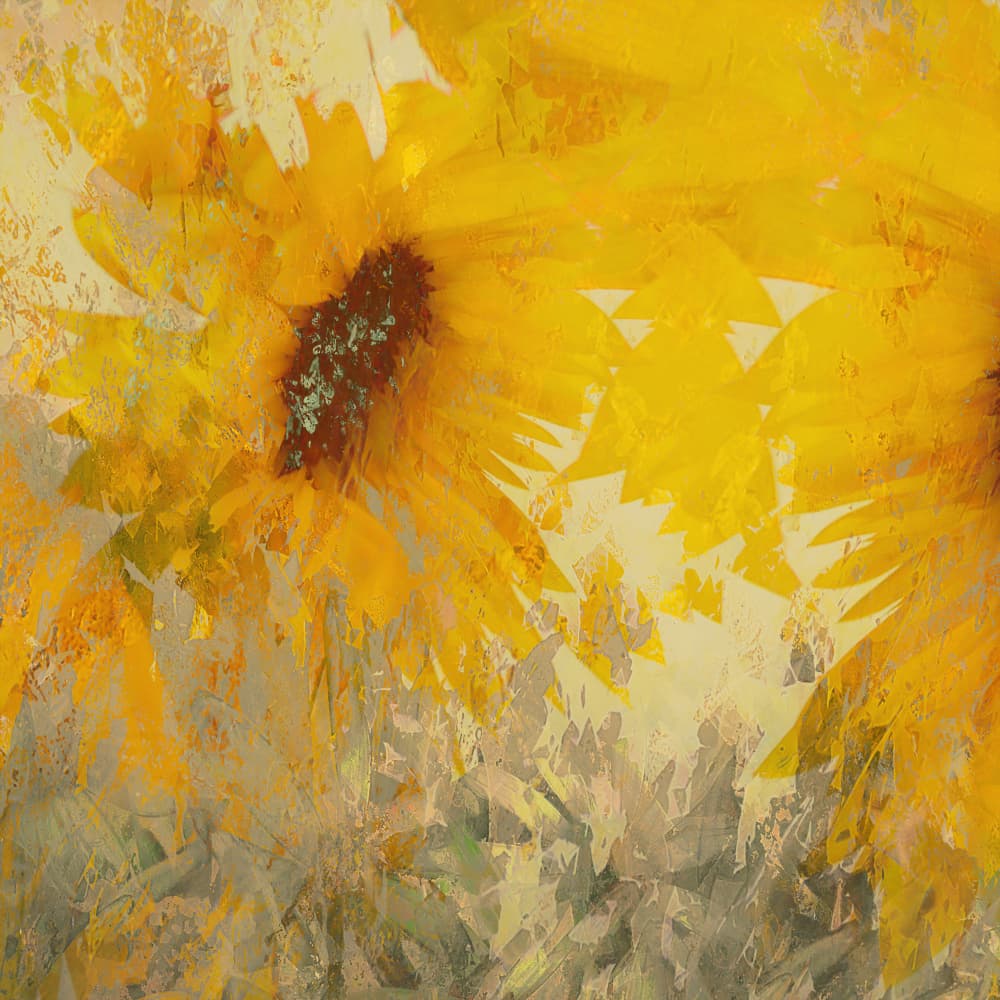Sunflower by Nel Talen — canvas wall art