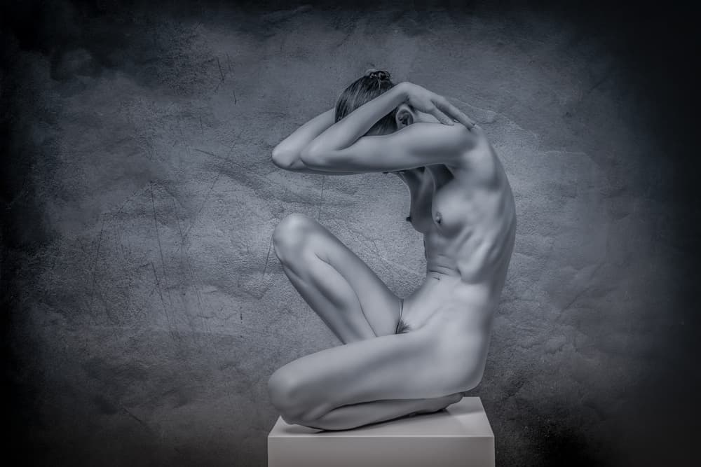 Graceful Nude Form by Hubert Bichler — canvas wall art