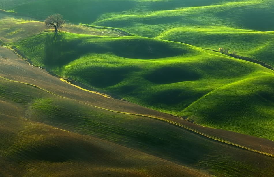 Rolling Green Hills by Krzysztof Browko — canvas wall art