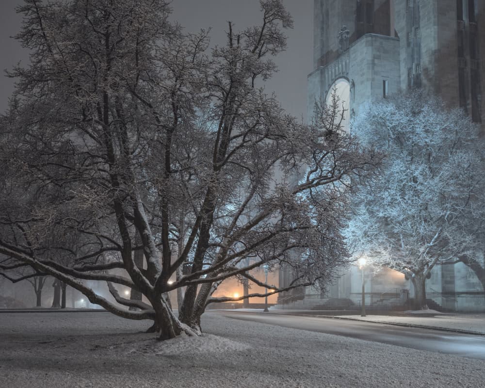 Snowy Winter Night by Scott J. Pilla — canvas wall art