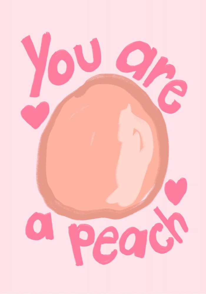 Sweet Peach Tribute by Athene Fritsch — canvas wall art
