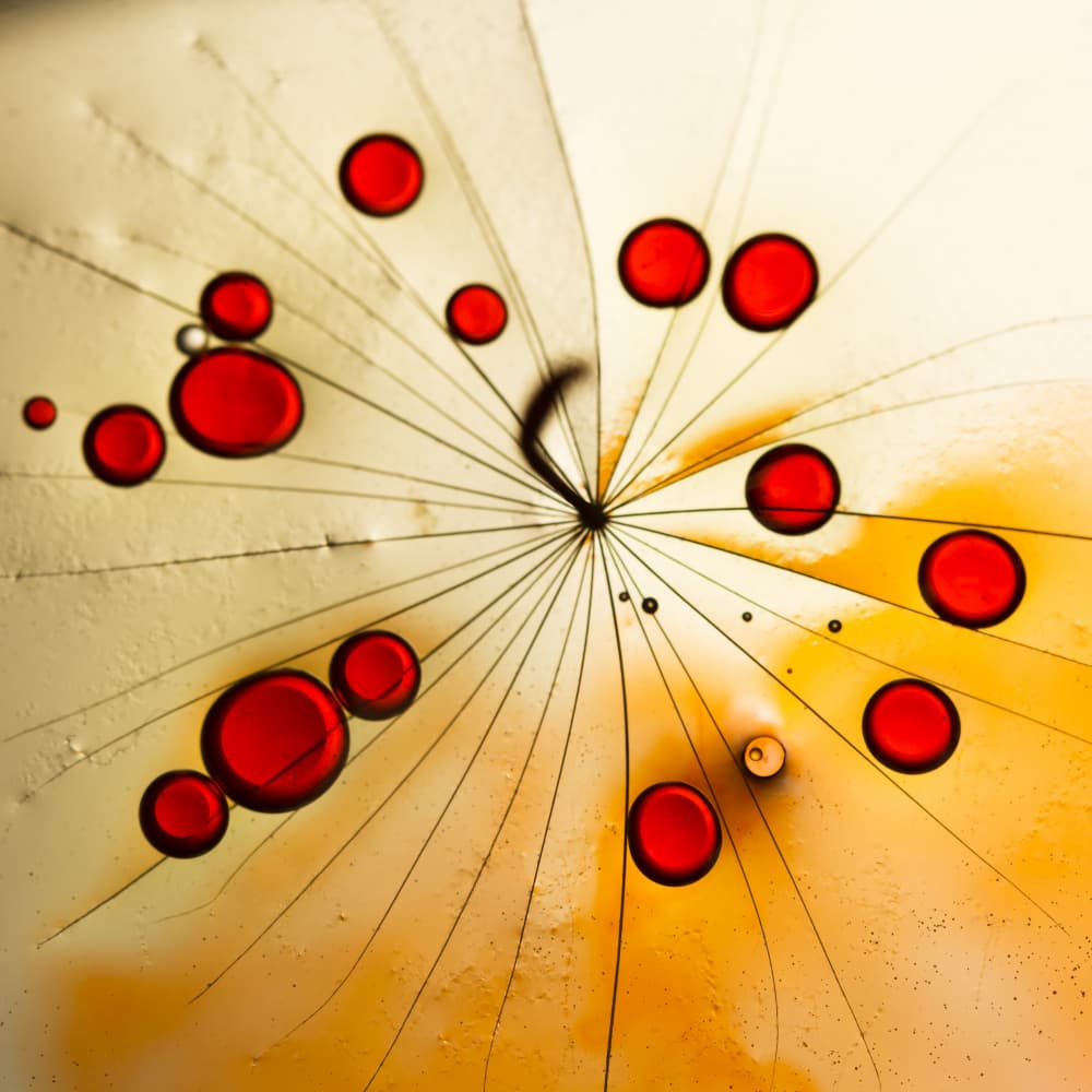 Red Dandelion Droplets by Ileana Bosogea-Tudor — canvas wall art