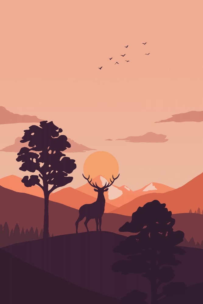 Golden Hour Stag Silhouette by Xuan Thai — canvas wall art