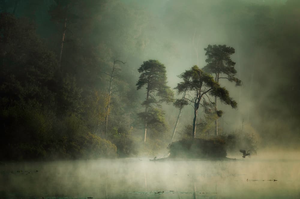 Misty Morning Lake by Anton van Dongen — canvas wall art