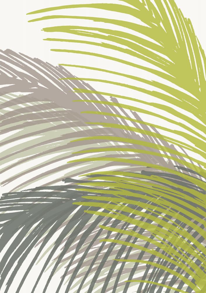 Palm Leaf Silhouette