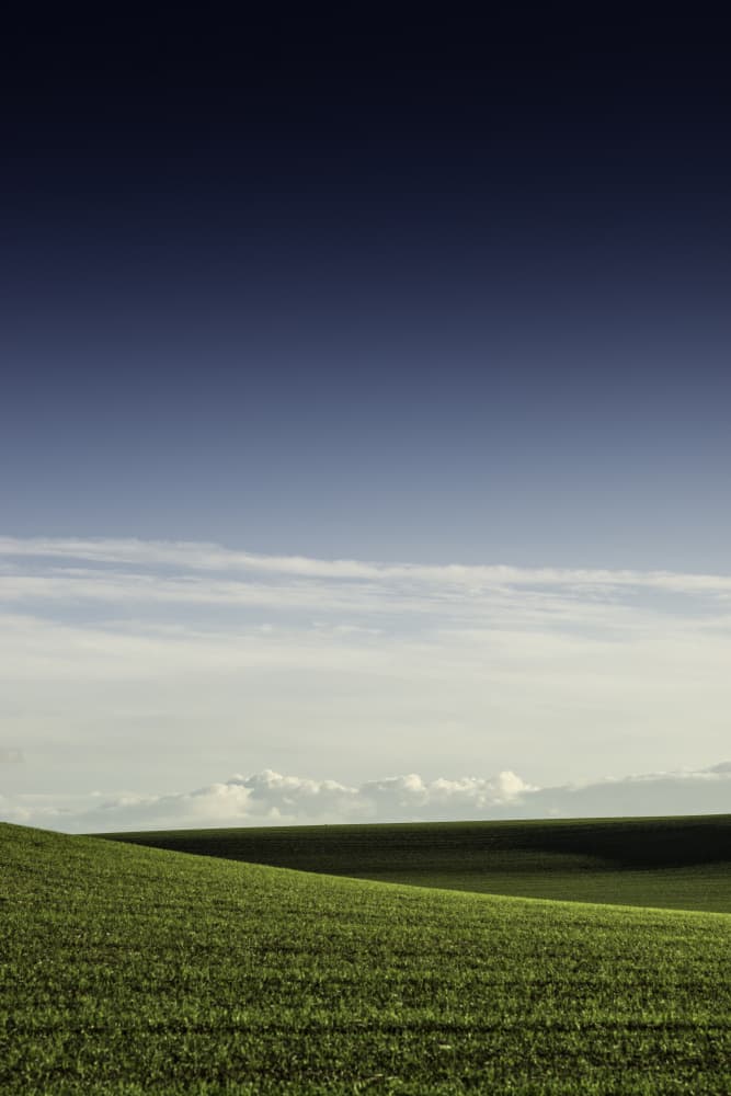 Green Field Blue Sky by Javier Pardina — canvas wall art