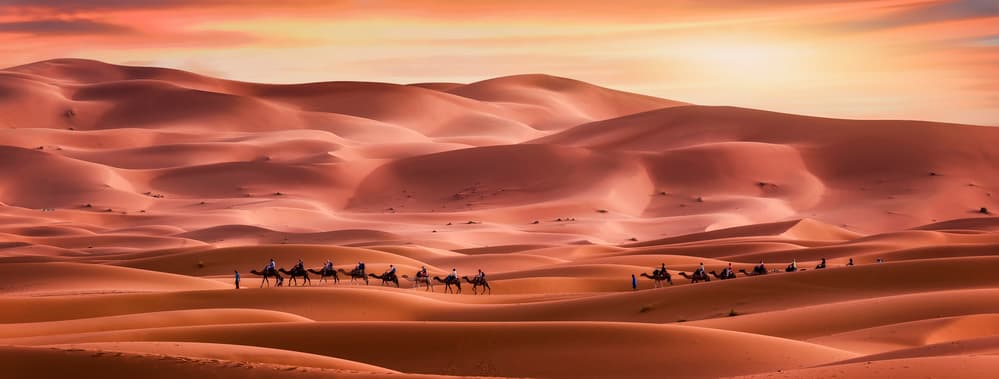 Desert Caravan Sunset by Jorge Ruiz Dueso — canvas wall art