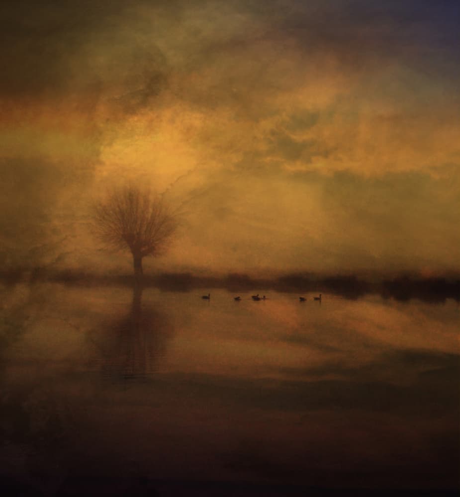 Golden Hour Solitude by Robert Fabrowski — canvas wall art