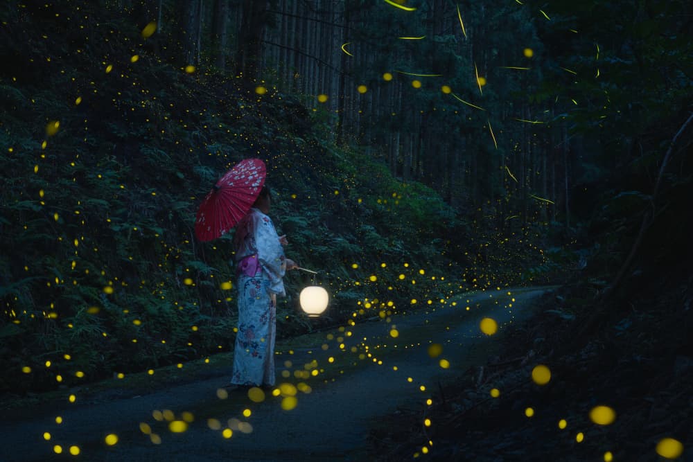 Enchanted Firefly Walk by Vu van quan — canvas wall art