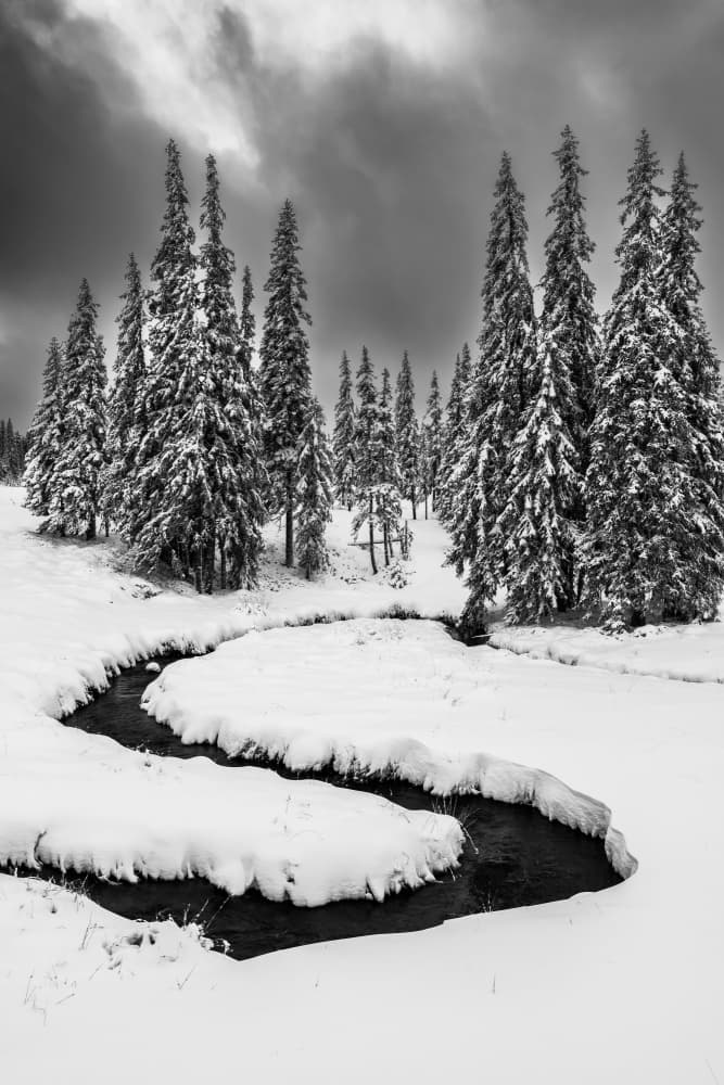 Snowy Forest Stream by Ovidiu Satmari — canvas wall art