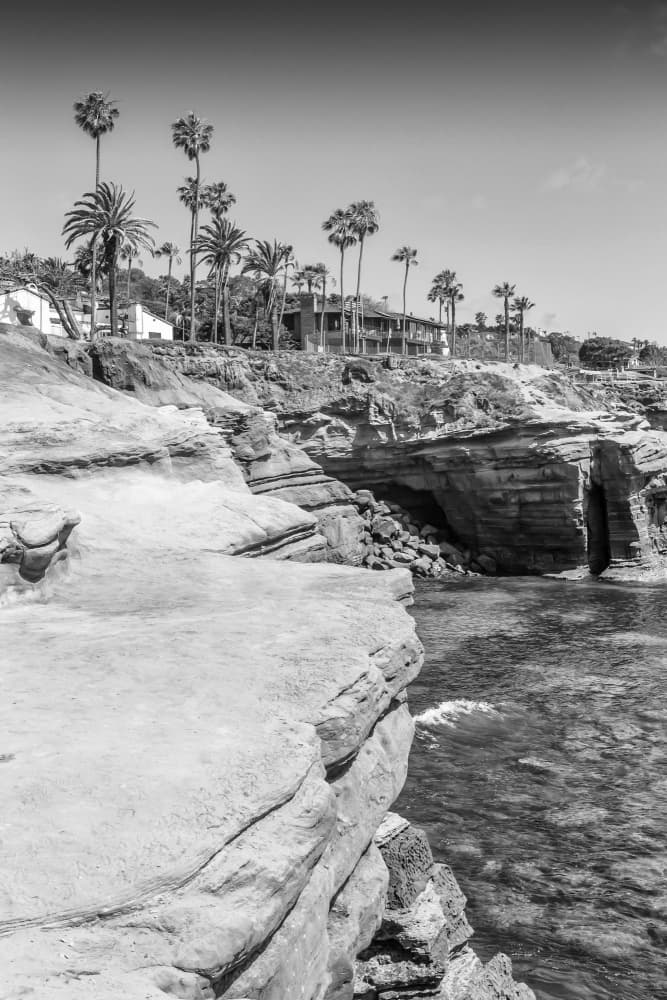 Coastal Cliffs and Palms by Melanie Viola — canvas wall art