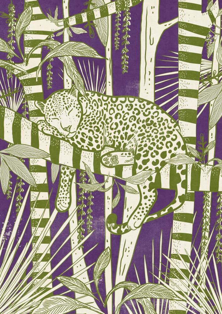 Sleeping Jungle Leopard by Nicholas — canvas wall art