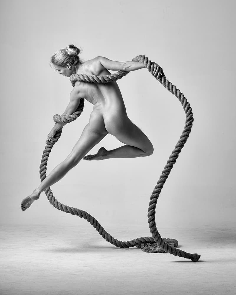 Strength in Motion by Ray Fritz — canvas wall art