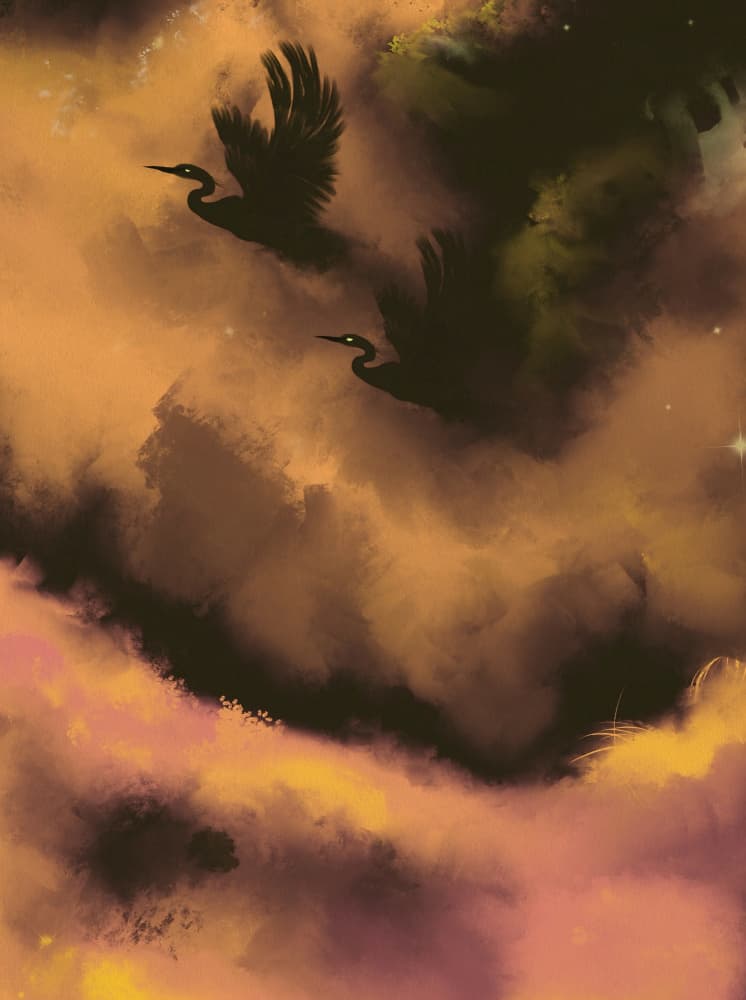 Mystical Sunset Birds by Josie George — canvas wall art