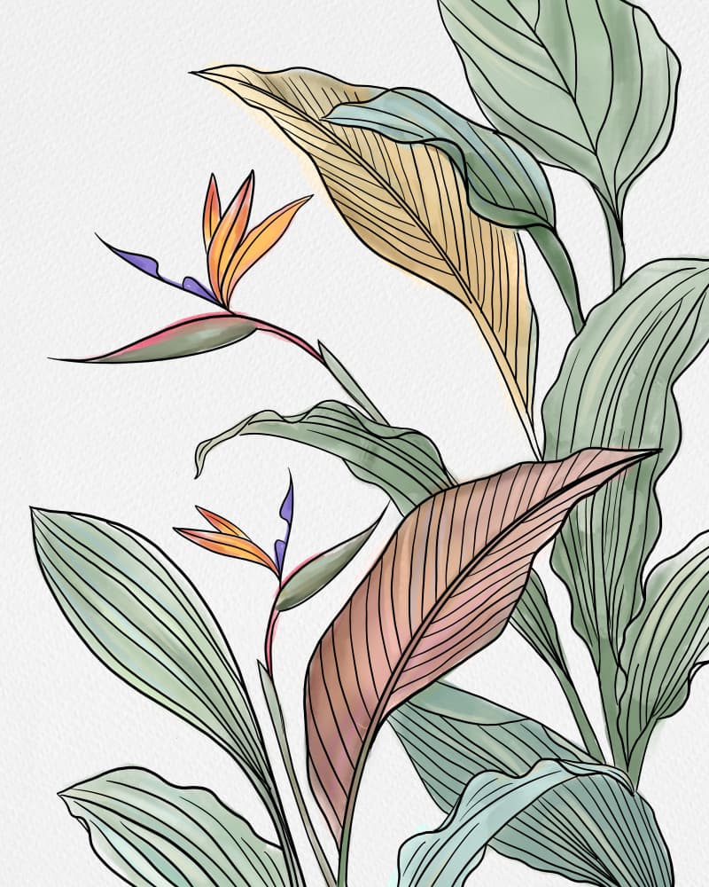 Brids of Paradise by Petra Lizde — canvas wall art