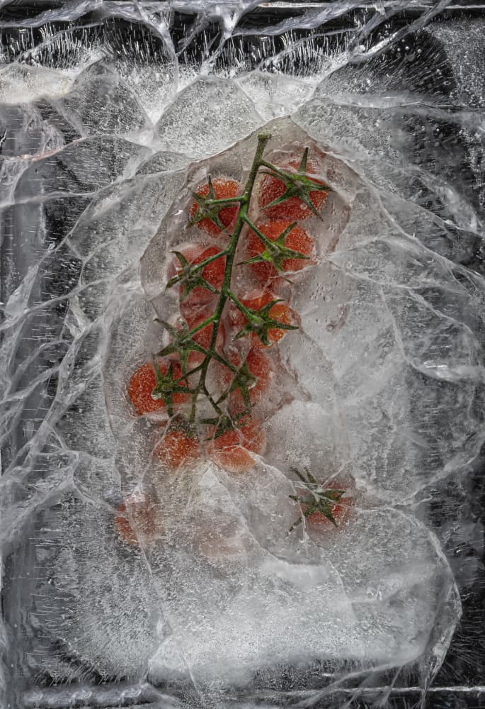 Frozen Cherry Tomatoes by Secundino Losada — canvas wall art