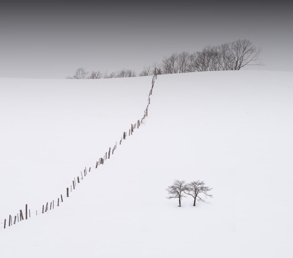 Winter Field Solitude by Dawn X W — canvas wall art