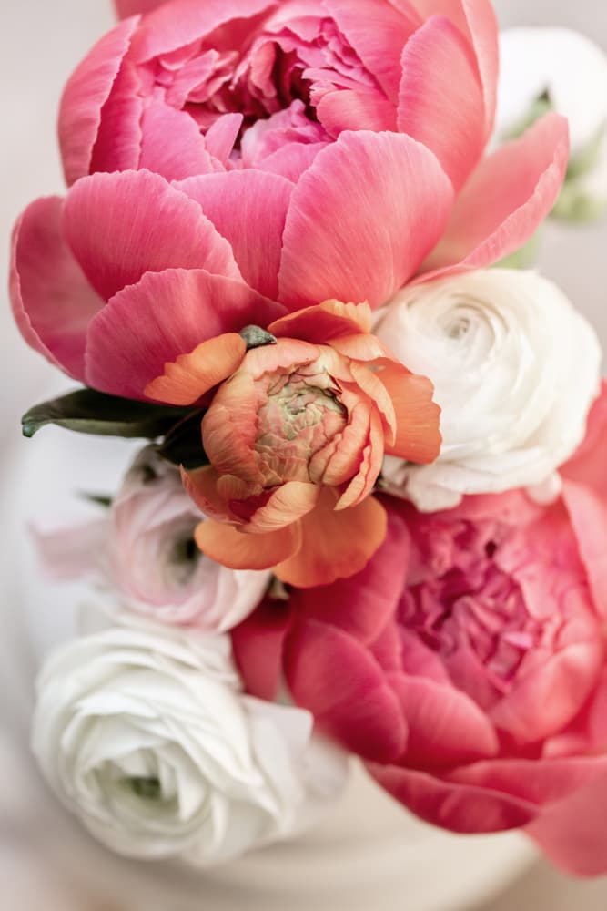 Spring Flowers 1 by Mareike Böhmer — canvas wall art