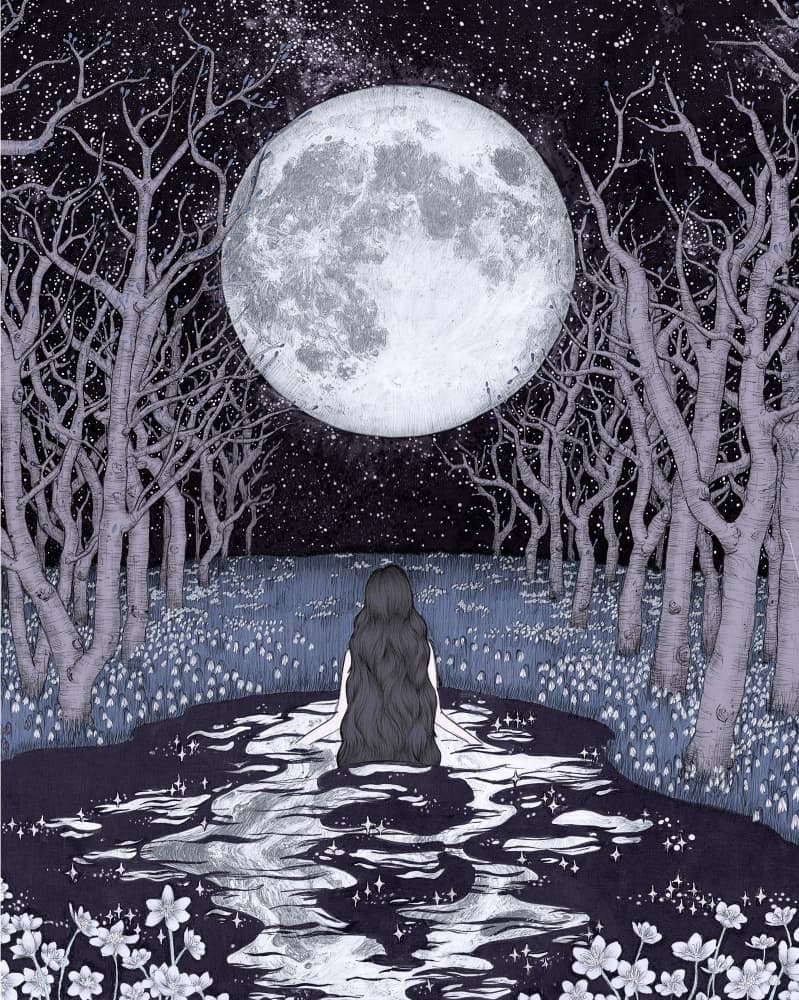 Moonlit Forest Dream by EC Mazur — canvas wall art