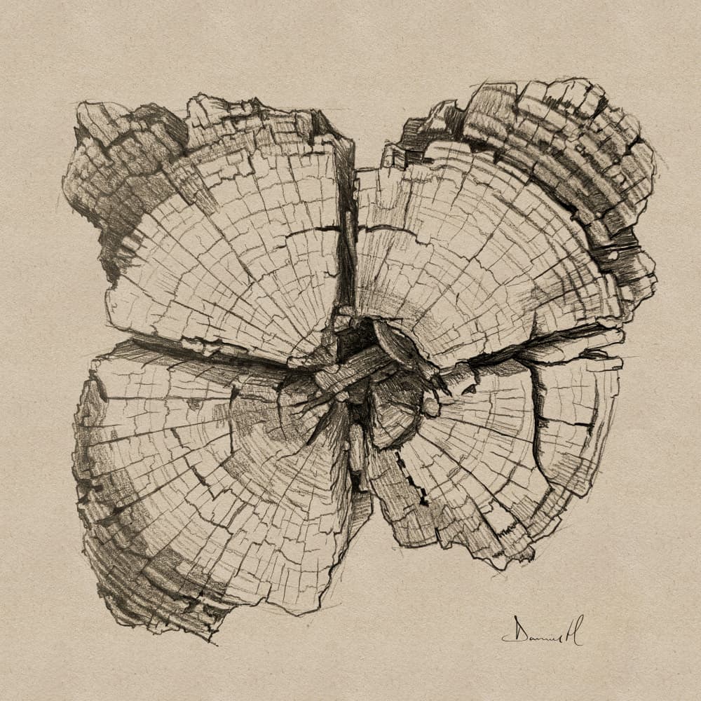 Aged Wood Grain Drawing by Dan Hobday — canvas wall art