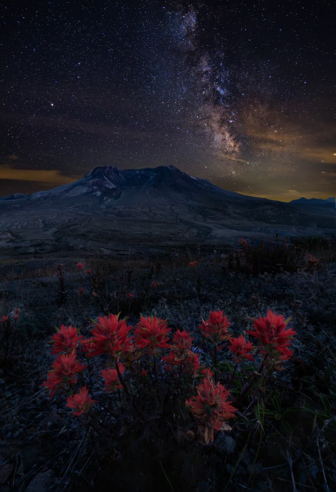 Milky Way Mountain Flowers by Grant Hou — canvas wall art
