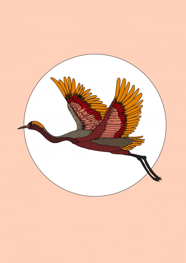 Graceful Crane Flight by Nicholas — canvas wall art