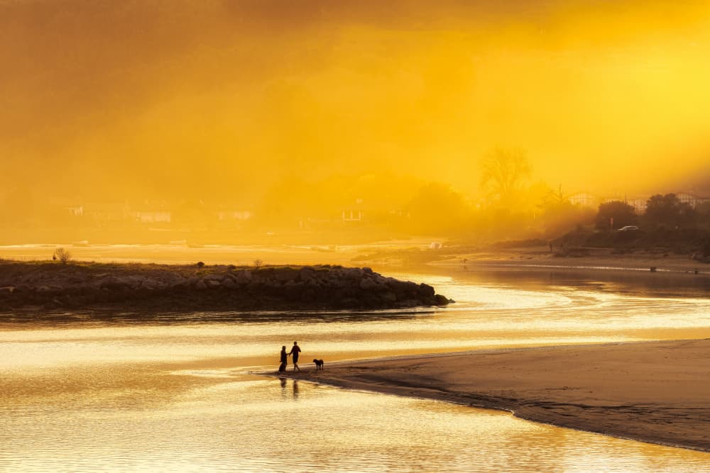 Golden Hour River Mist by Jesus Concepcion Alvarado — canvas wall art