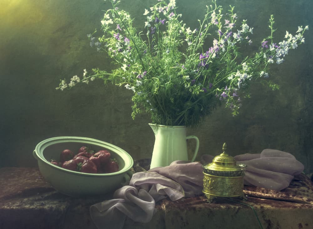 Wildflowers and Strawberries by UstinaGreen — canvas wall art