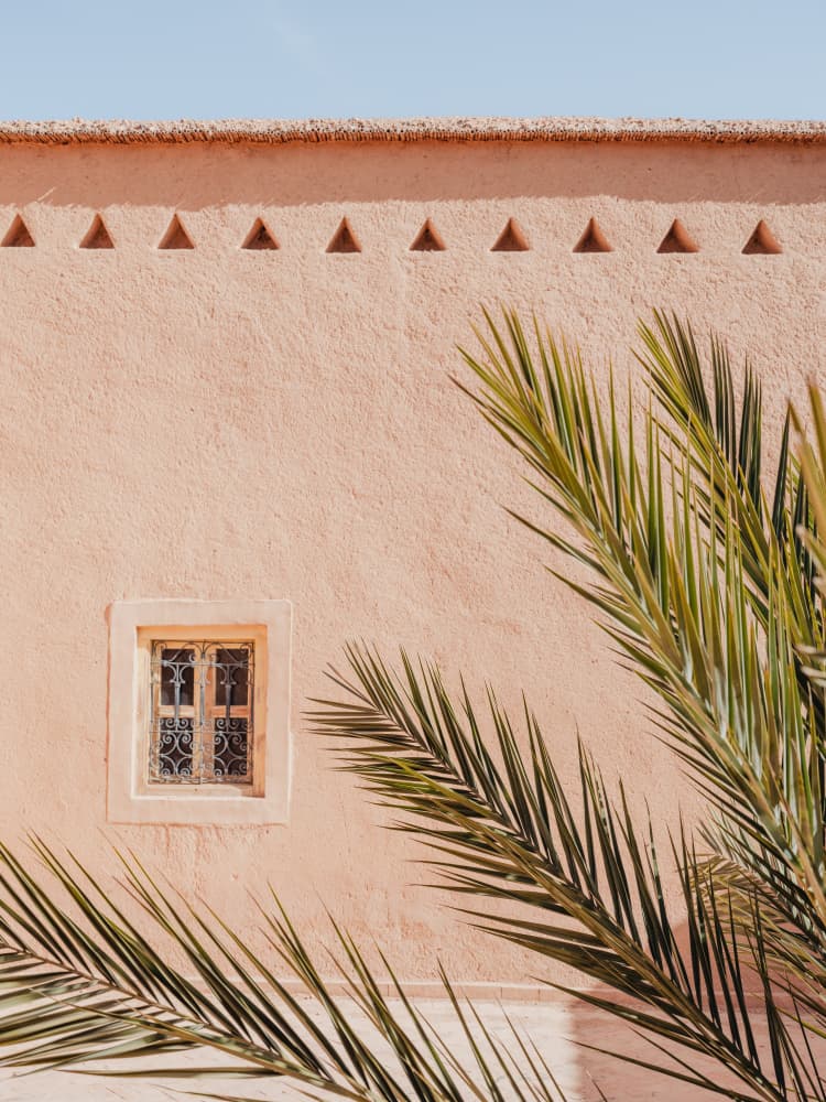 Pink Wall Palm Shadow by Photolovers — canvas wall art