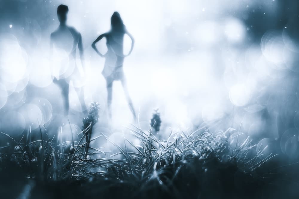 Dreamy Couple Silhouettes by Stefan Eisele — canvas wall art