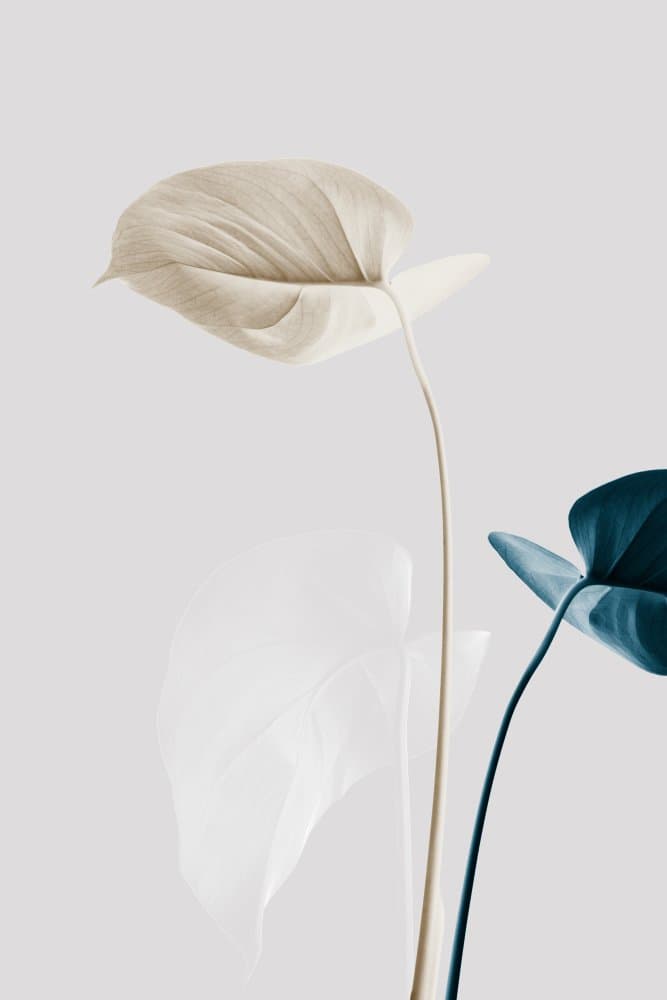 Subtle Organic Leaves by Pictufy Studio III — canvas wall art