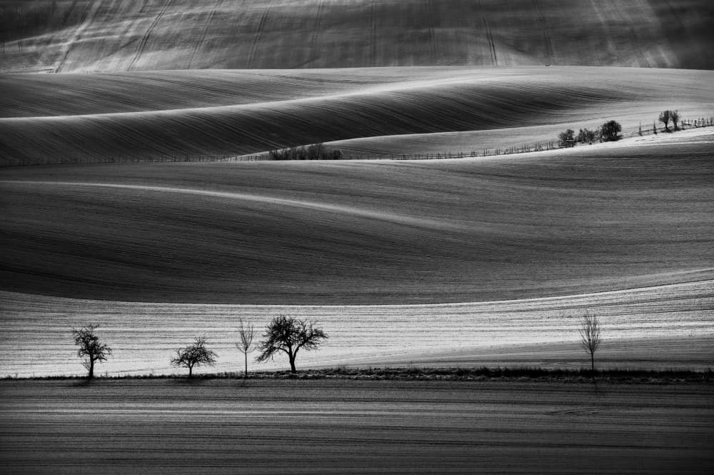 Rolling Winter Fields by Milan Uhrin AFIAP AZSF — canvas wall art