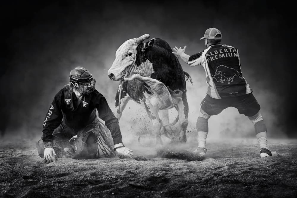 Rodeo Bull Action by Steven Zhou — canvas wall art
