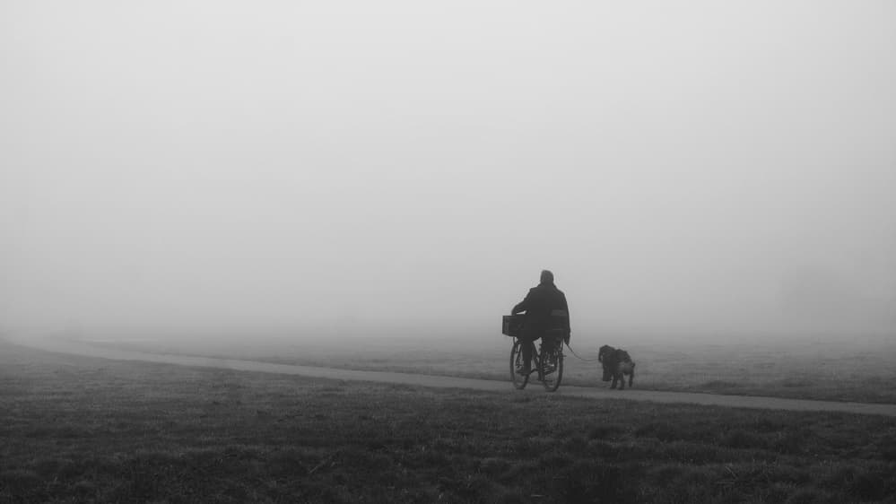 Misty Morning Cyclist by Saskia Dingemans — canvas wall art
