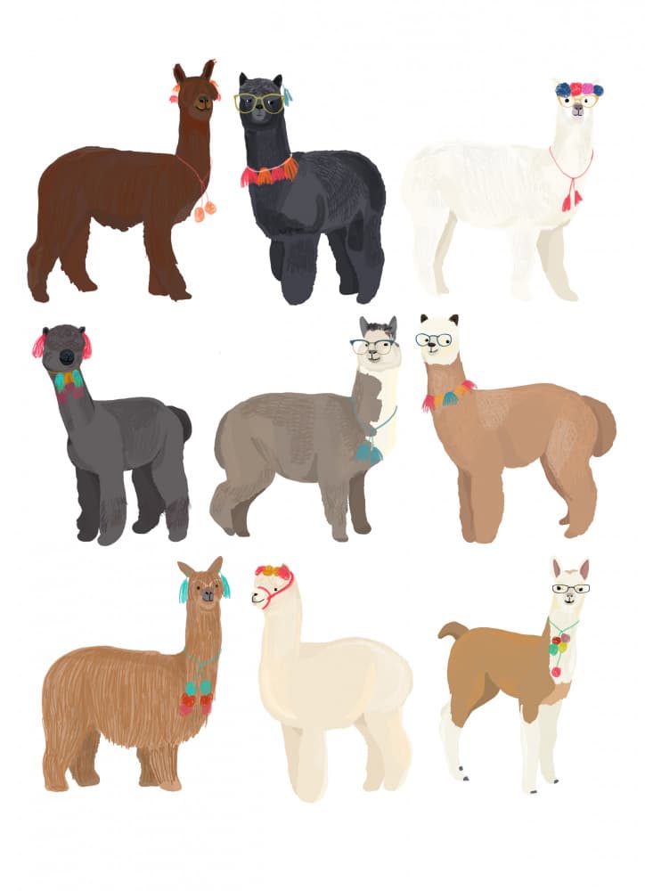 Whimsical Alpaca Friends by Hanna Melin — canvas wall art