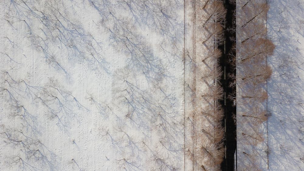 Snowy Winter Patterns by Tatsuki Ito — canvas wall art