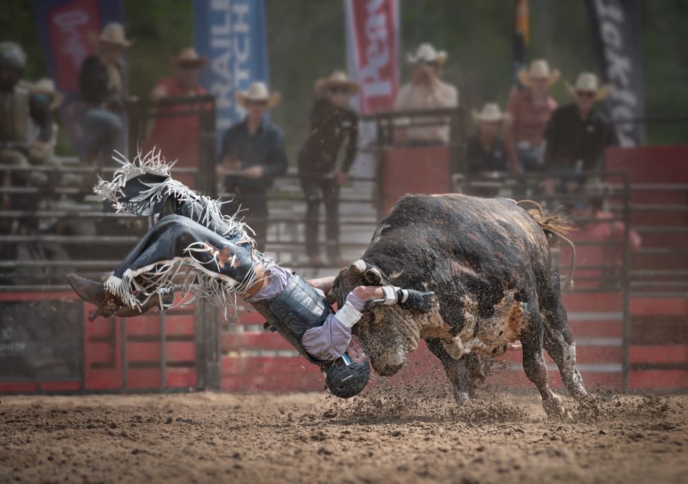 Bull Riding Crash by Li Jian — canvas wall art