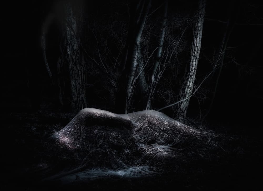 Dark Winter Woods by mario lotzin / uwe friessner — canvas wall art