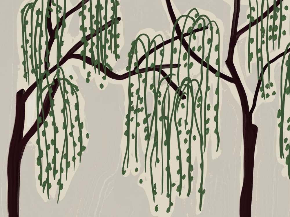 Weeping Willow View by Little Dean — canvas wall art