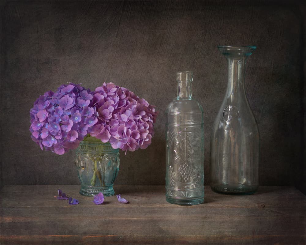 Purple Hydrangeas Still Life by Ytje Veenstra — canvas wall art