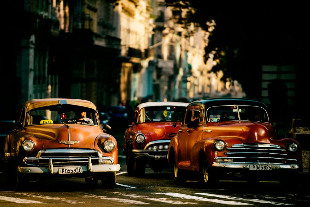 Classic City Cruisers by Gina Buliga — canvas wall art