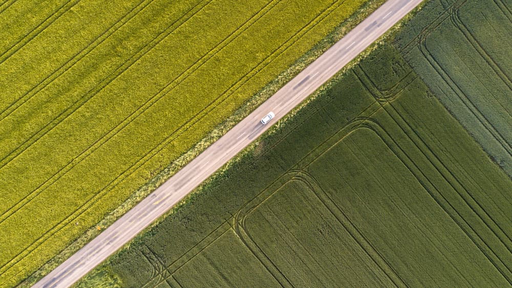 Road Through Green Fields by Stephanie Kleimann — canvas wall art