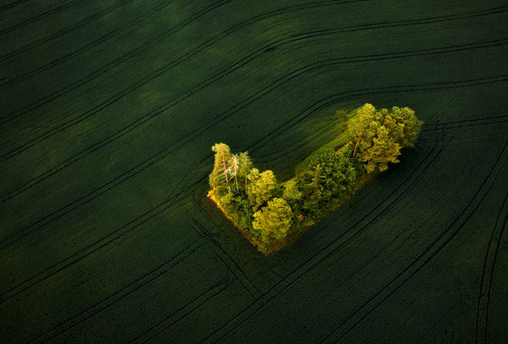 "Island" by Wei (David) Dai — canvas wall art