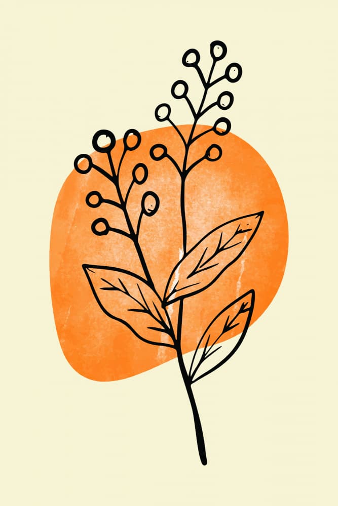 Minimal Orange Botanicals by jay stanley — canvas wall art