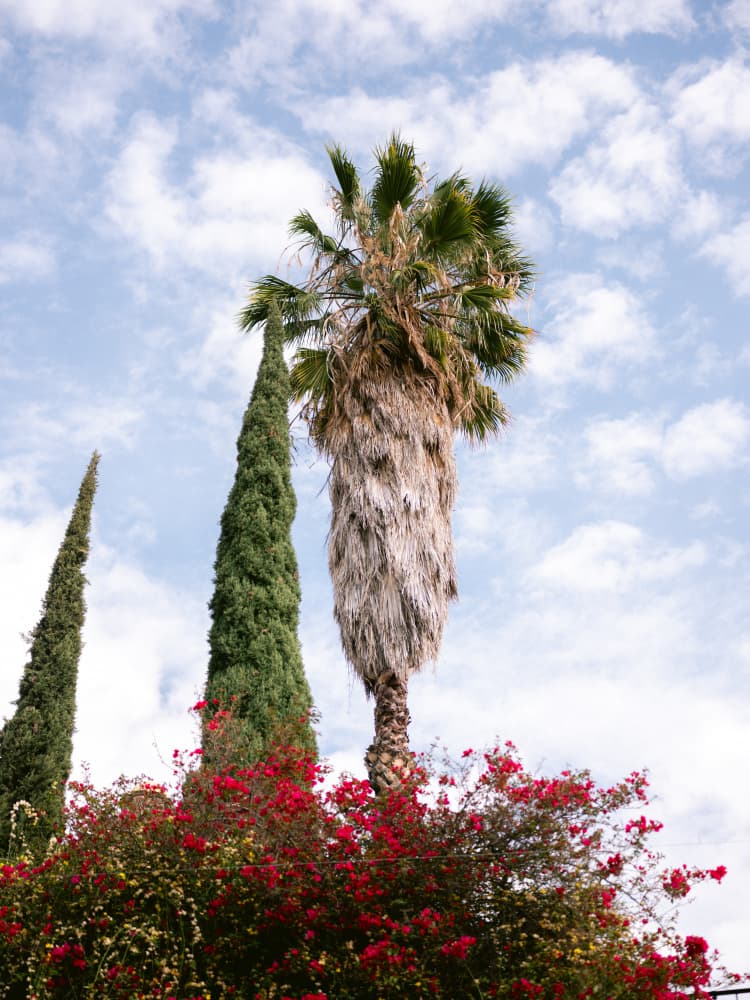 San Miguel de Allende Mexico by Raisa Zwart — canvas wall art