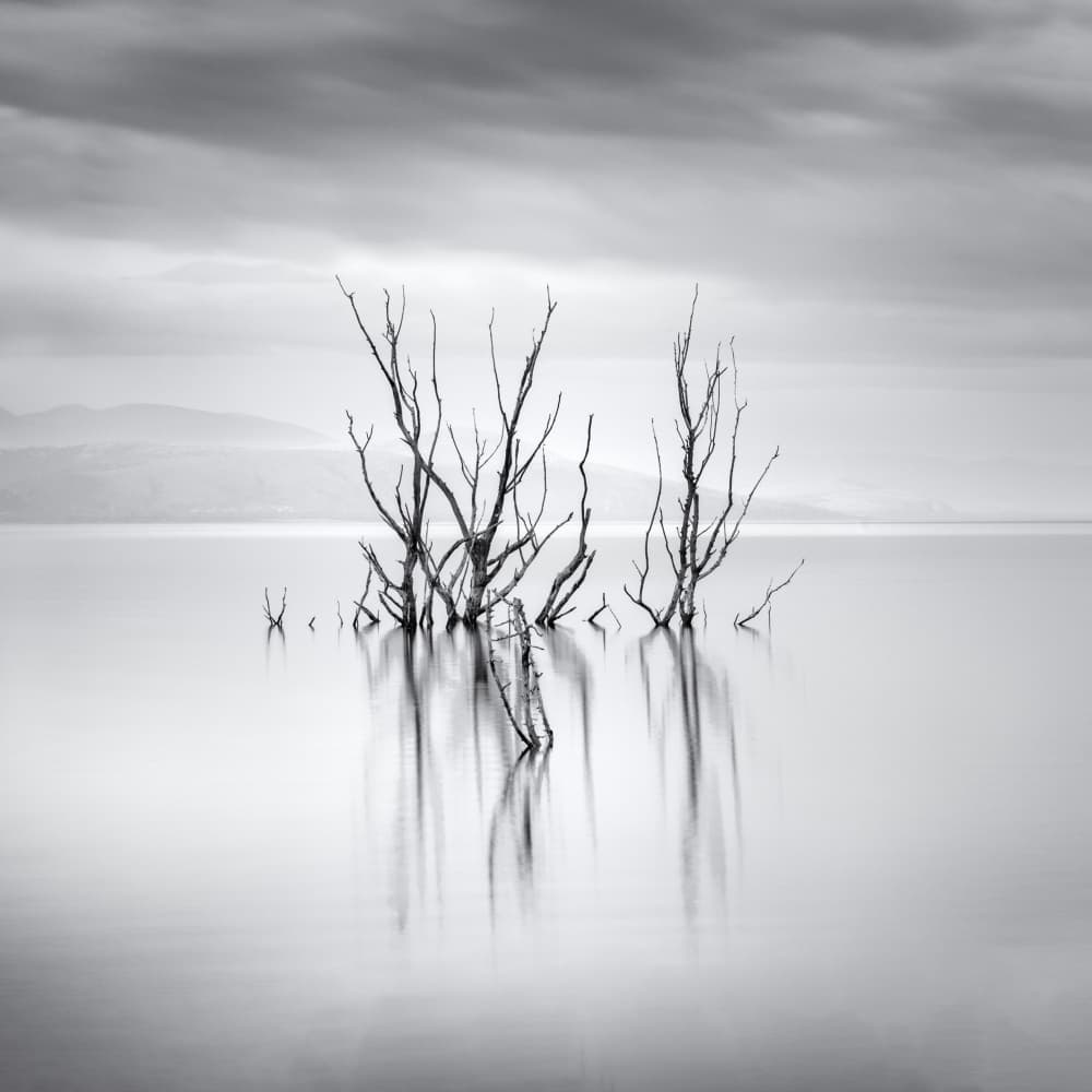Serene Lake Reflections by George Digalakis — canvas wall art